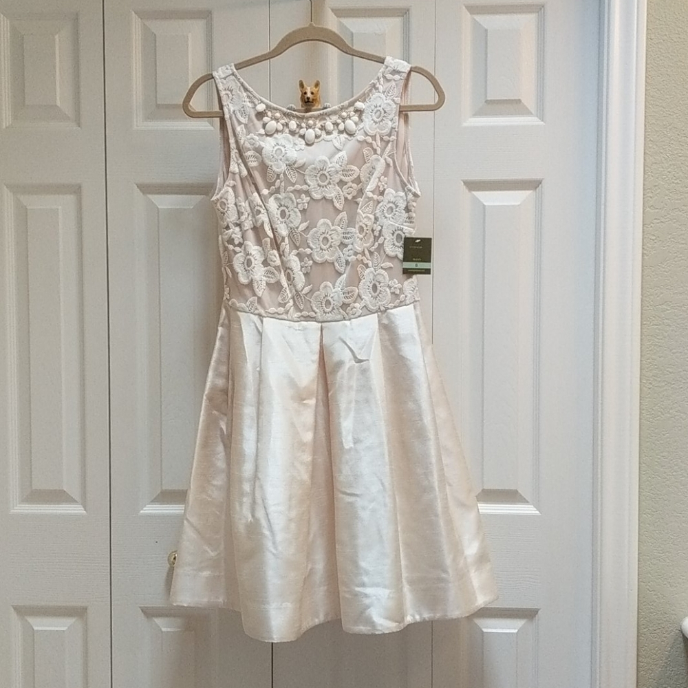 Taylor dress